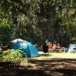 Les avantages du voyage en camping-car : liberté, confort et découverte